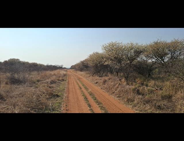 635HA FARM FOR SALE IN MARBLE HALL RURAL